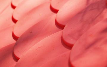 Bodieve plastic roof costs